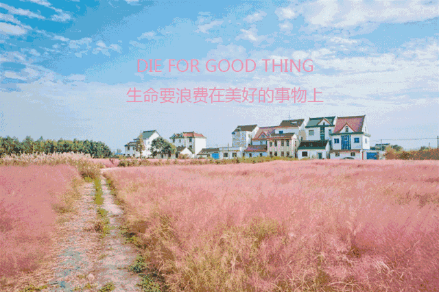 社交约炮软件手机可以用吗_手机社交软件 约炮_社交约炮软件手机版下载