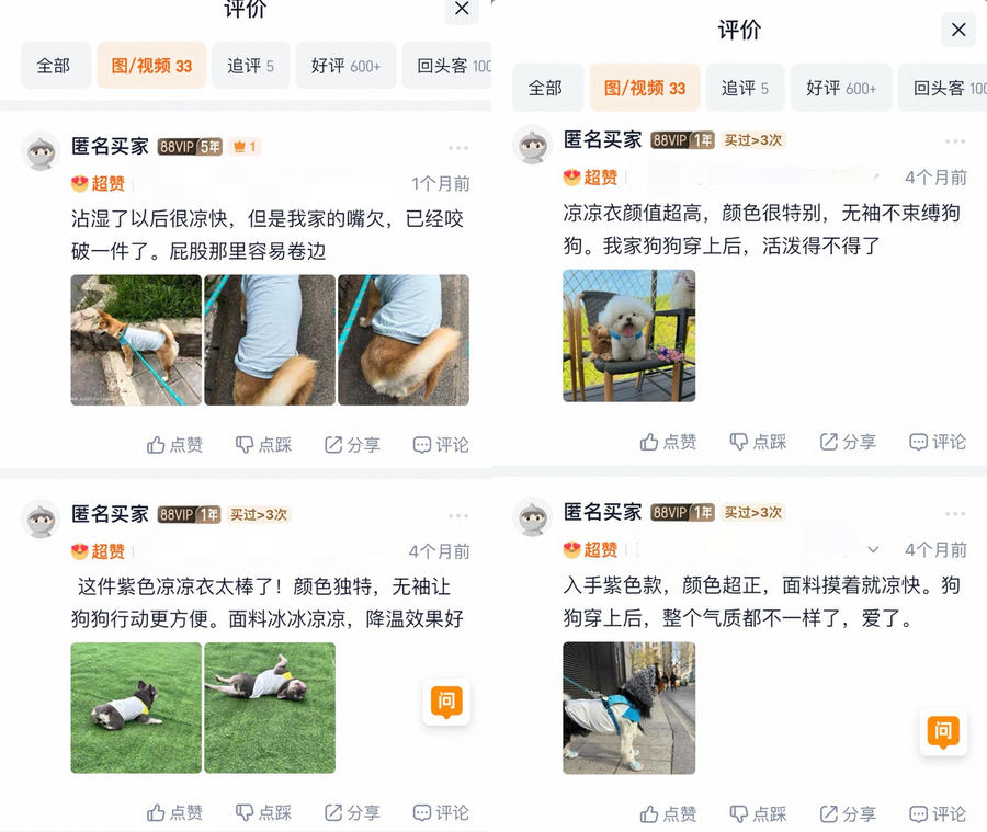 宠物社交平台_宠物防晒衣是刚需吗_宠物防晒衣实用性分析