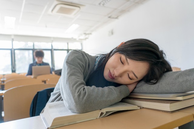 广州笨鸟社交_笨鸟社交招聘_笨鸟社交薪资怎么样