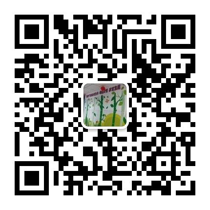 儿童团队协作游戏_培训社交儿童团队能力游戏方案_儿童社交与团队能力培训游戏