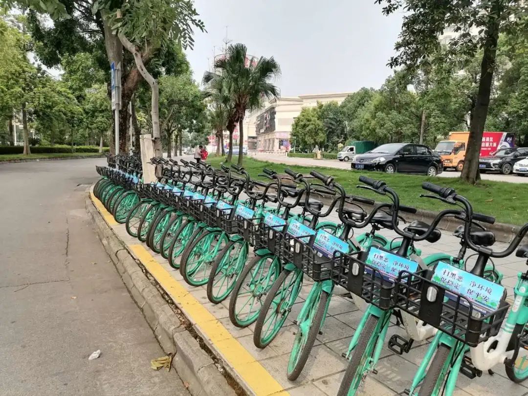 侨报网app_侨报网官网_侨报网中国区