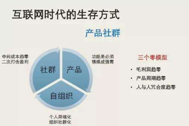 什么是垂直社交__ 社交圈层文化品牌传播 