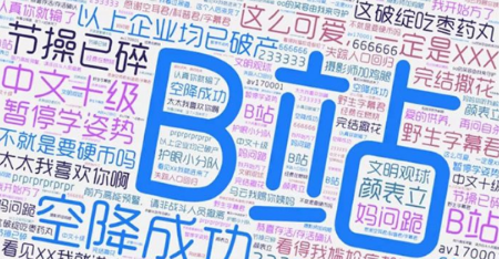 _ 社交圈层文化品牌传播 _什么是垂直社交