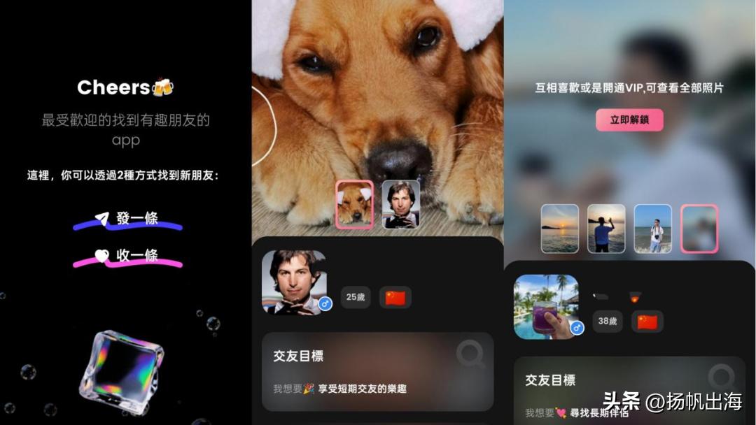 宠物社交平台_陌生人社交平台设计_垂直社交应用