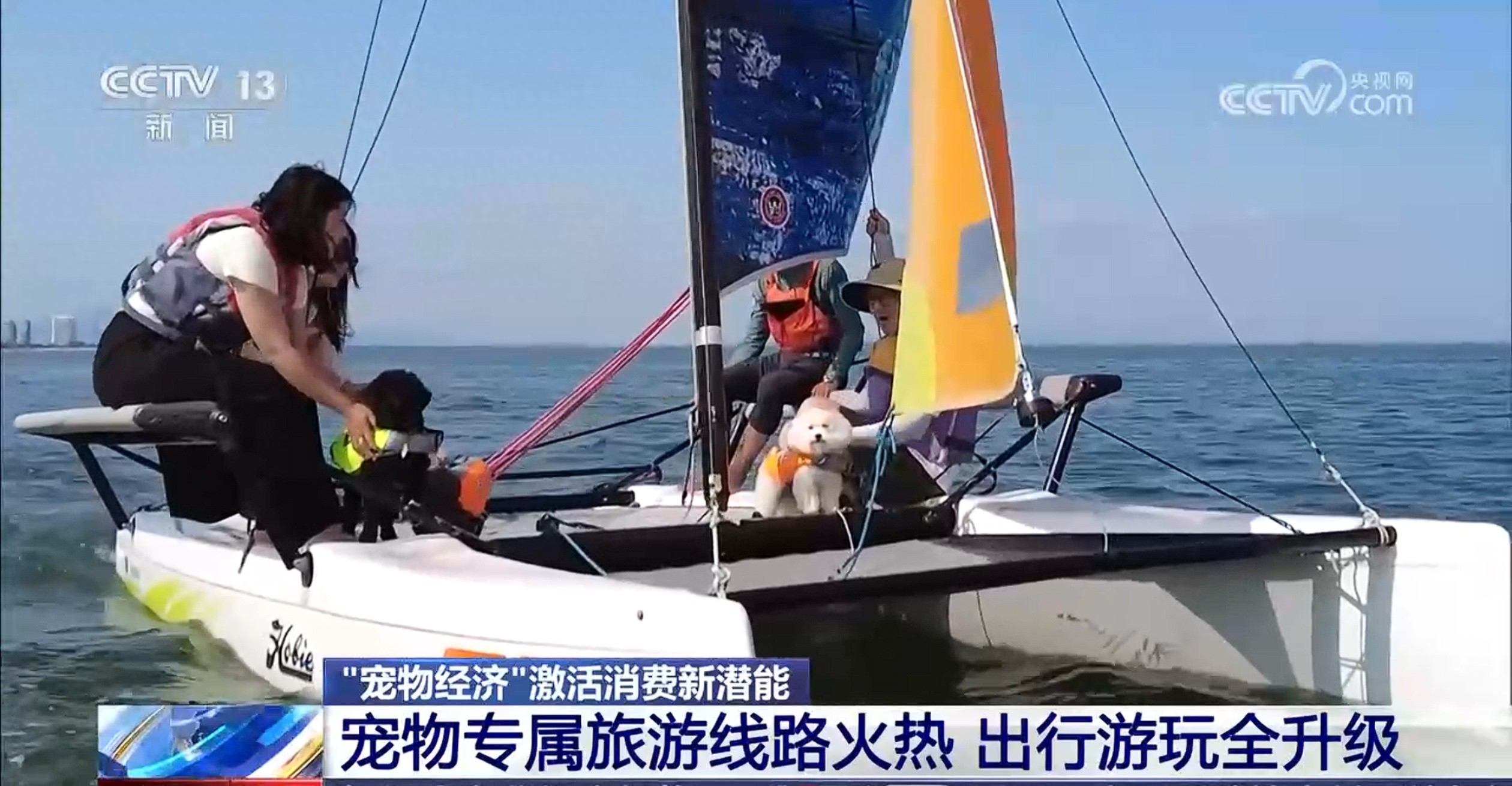 爱宠人士 出行游玩全升级 快来开启“携宠出行”新体验