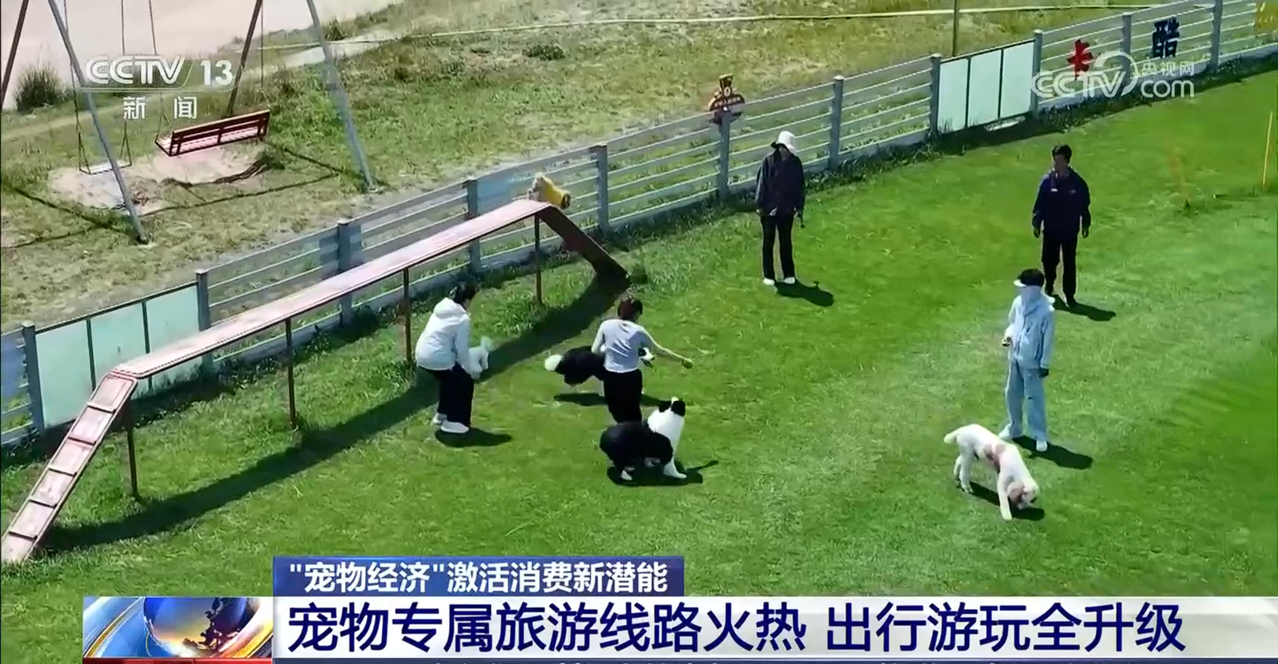 宠物社交平台_暑期携宠出行_宠物专属特色游项目