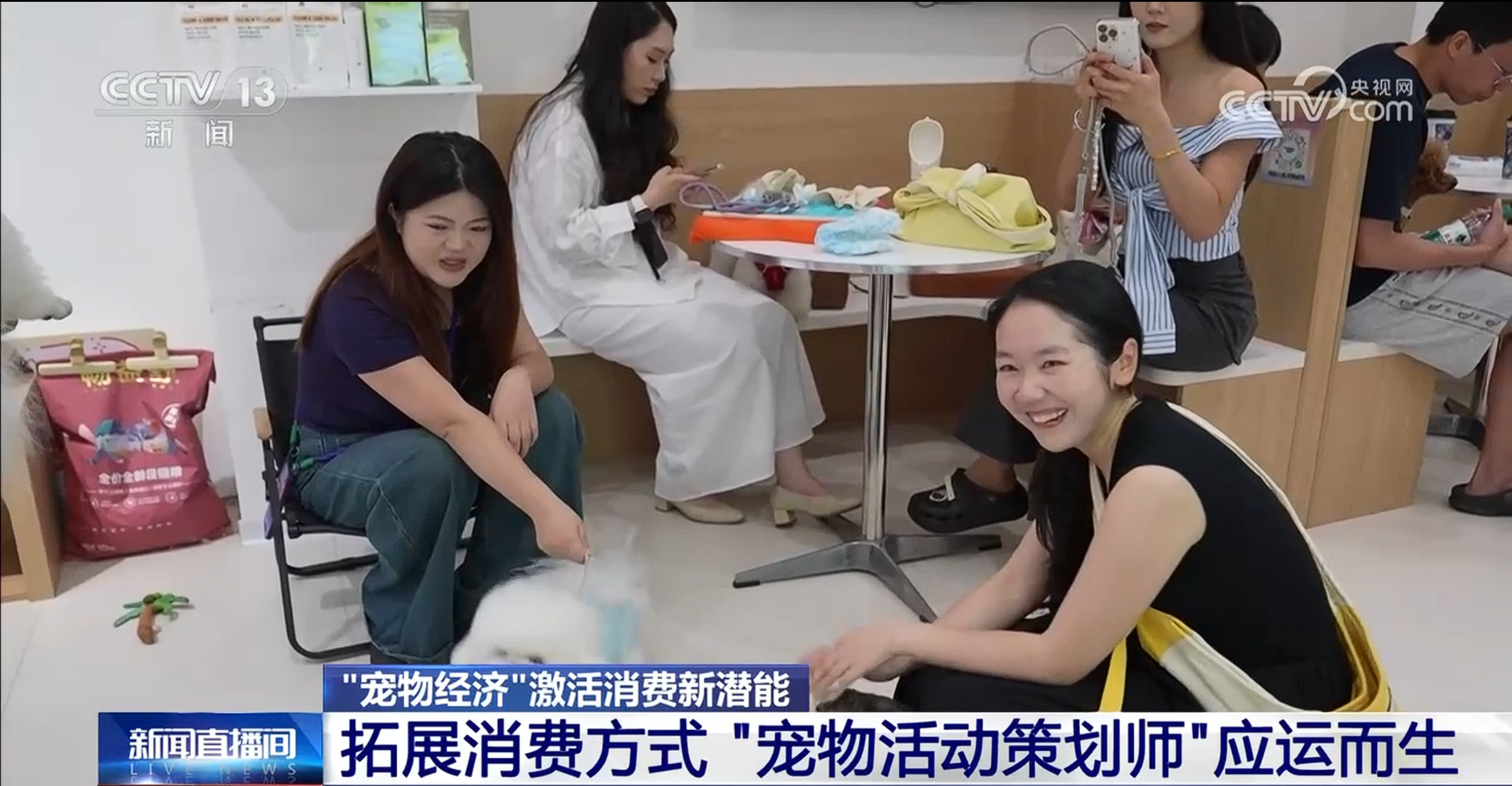 宠物社交平台_宠物专属特色游项目_暑期携宠出行