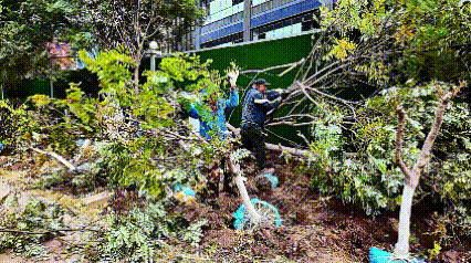 西青区新中式商业综合体_福湾广场项目进度_天津张家窝最新新闻