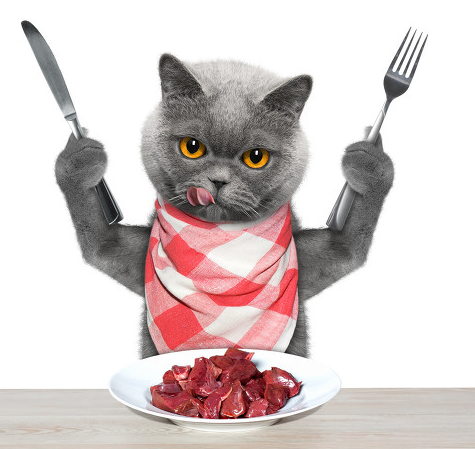 多平台社媒粉丝管理_海外社交媒体运营神器_朋友圈社交广告