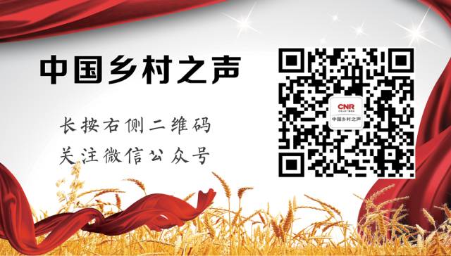 农村的这9大互联网商机：可能比城里创业更容易