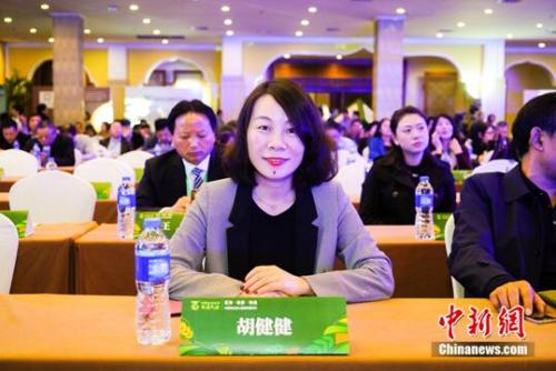 云集微店COO胡健健出席大会