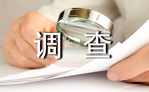 个人调查报告