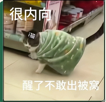 社交恐惧症眼神看上去很恐惧_社交恐惧症对视恐惧症_社交视线恐惧症