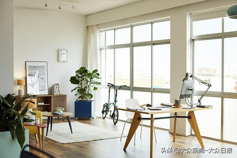 宠物社交平台_免费住家看宠物押金争议_社交媒体互助托管纠纷