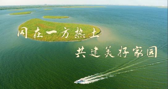 子牙搬迁上静海新闻了_静海区子牙镇乡村振兴_子牙镇厕所革命