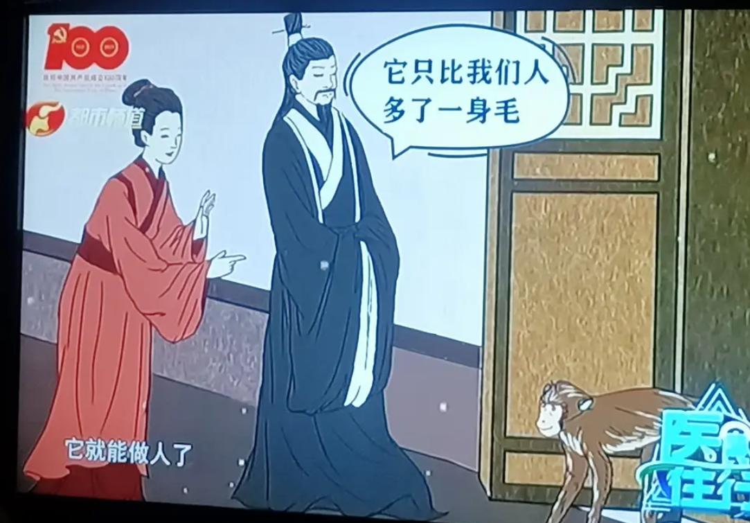 河南电视新闻节目_河南新闻频道节目表_播放河南新闻节目