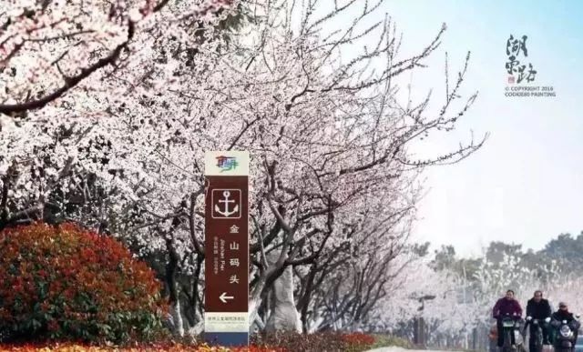 社交维基网络企业怎么样_企业社交网络维基_社交维基网络企业有哪些