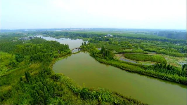 社交维基网络企业怎么样_社交维基网络企业有哪些_企业社交网络维基