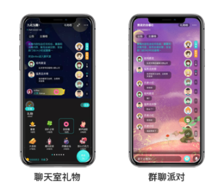 语音社交聊天软件源码，语音聊天APP源码开发出售
