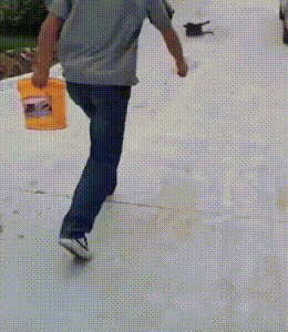 偷狗贼手段残忍_偷狗人路过狗就倒地_毒狗事件
