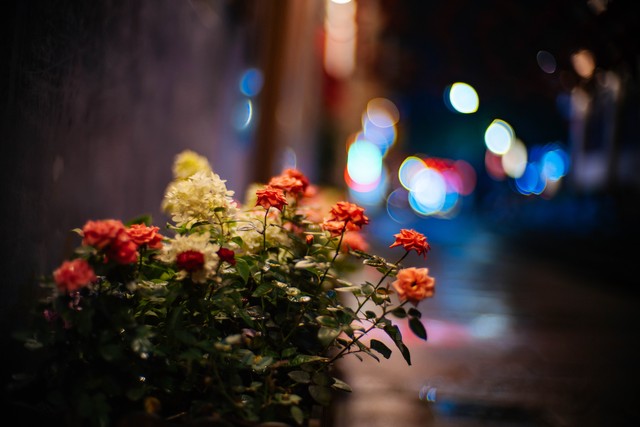 当连接变成负担：现代人的社交困境与解脱之道