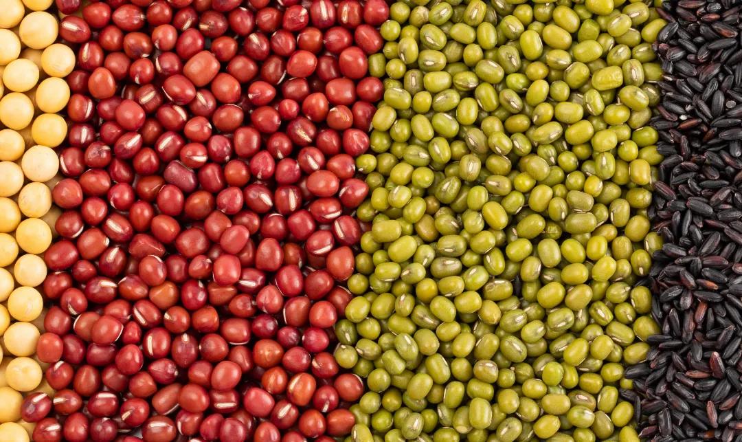 中国不孕不育调研报告_男方精液异常输精管堵塞_不孕不育率攀升原因