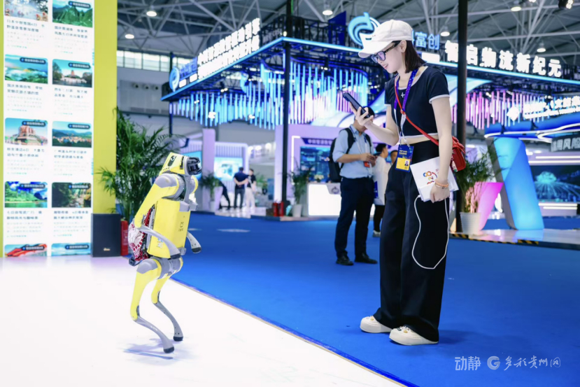 2025中国国际大数据产业博览会 人工智能+ 产业赋能_2025年10 实时新闻