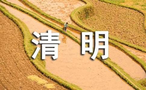 幼儿园清明节爱国主义教育活动新闻稿