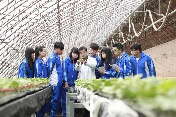 专题实务网站设计游戏案例_网页设计游戏网站_实务专题 游戏网站设计
