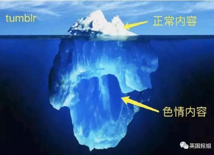 社交网站平台排名_社交网站平台有哪些_社交网站平台