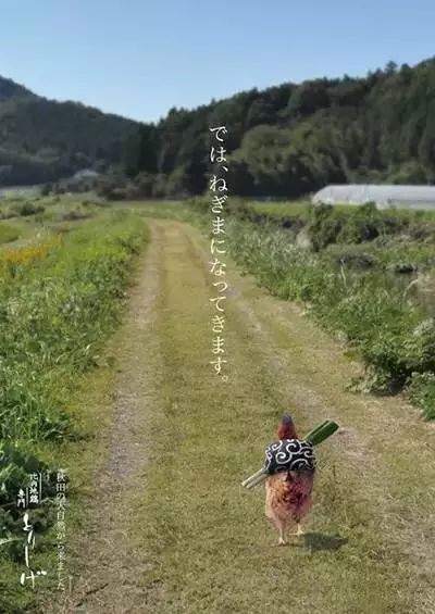 专题页面设计游戏有哪些_页面游戏制作_游戏专题页面设计