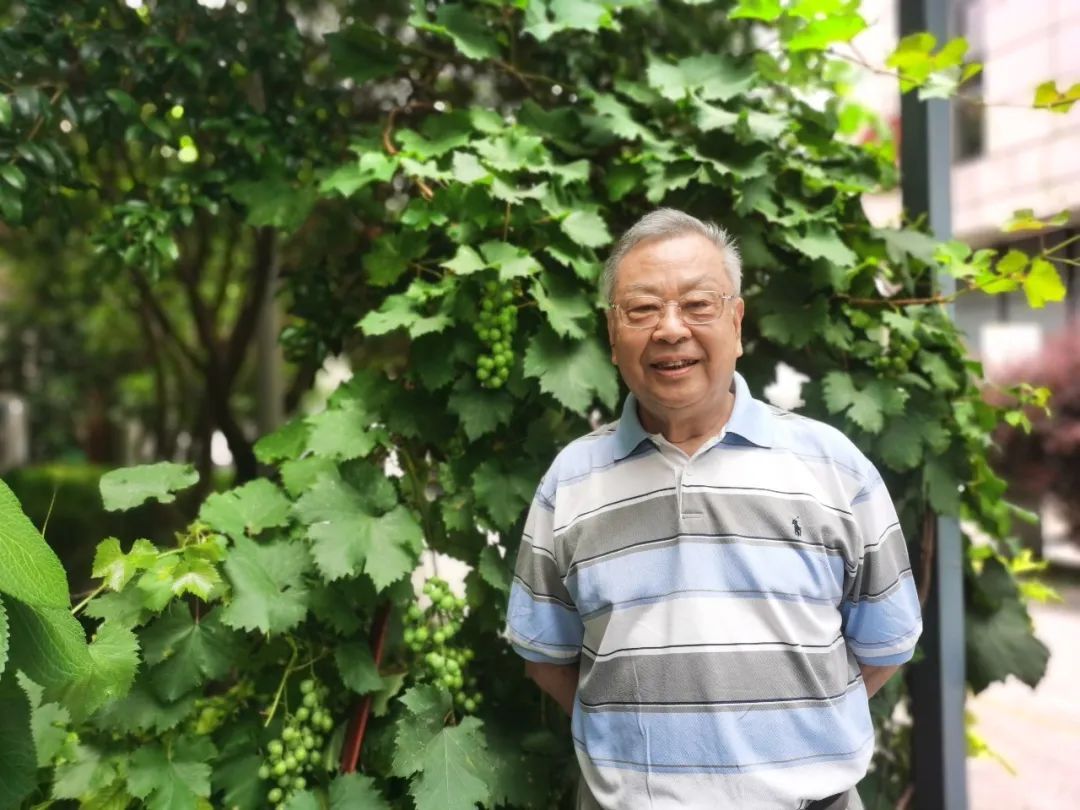 中医博士教材_中医博士精读_博士中医