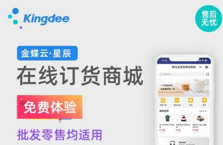 岳西县金蝶财务软件操作简便性_岳西县金蝶财务软件功能_金蝶记账王账套如何用迷你版打开