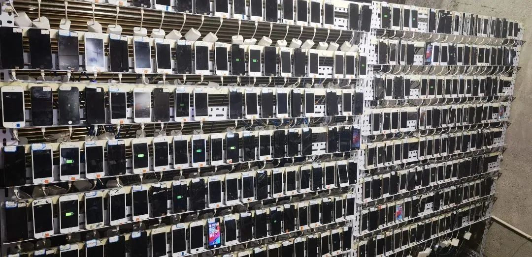 网络水军 作案基地 永兴县公安局_湖南政法频道在线直播