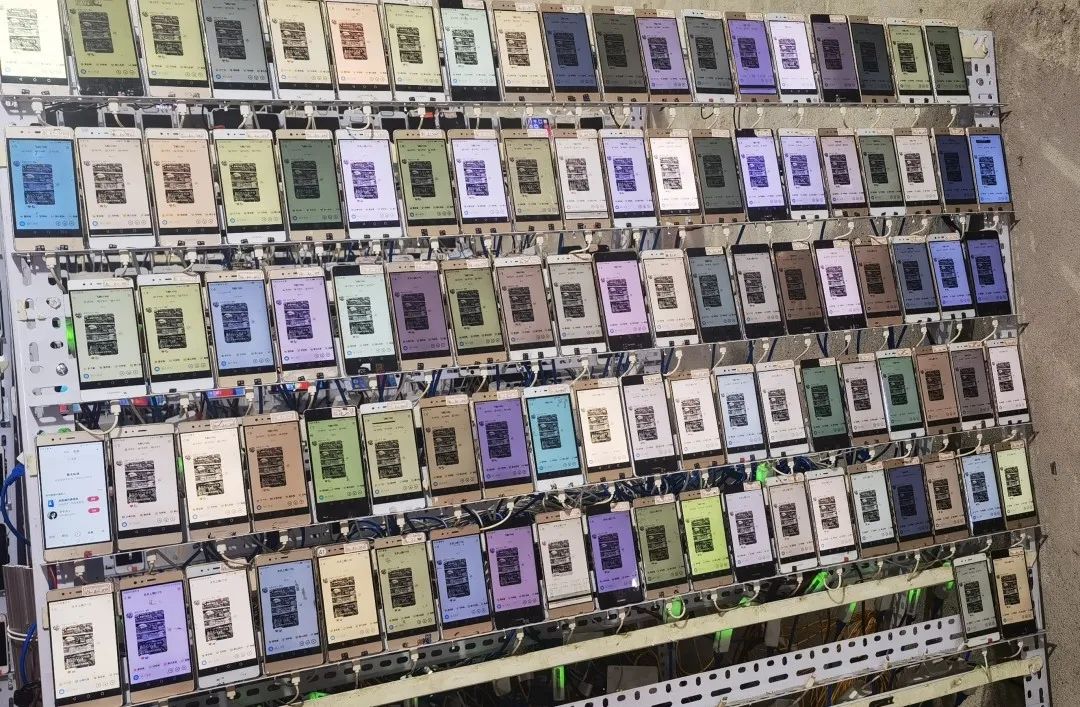 湖南政法频道在线直播_网络水军 作案基地 永兴县公安局