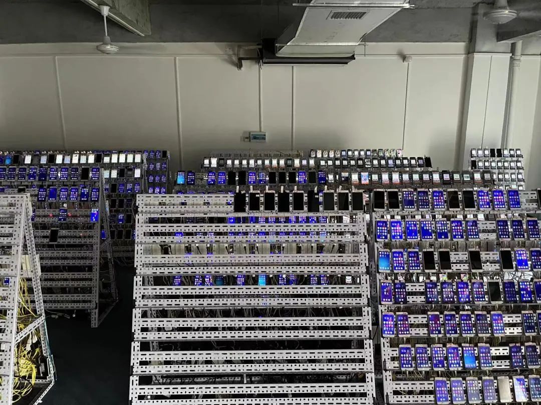 湖南政法频道在线直播_网络水军 作案基地 永兴县公安局