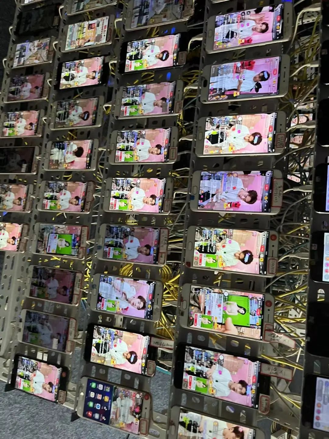 网络水军 作案基地 永兴县公安局_湖南政法频道在线直播