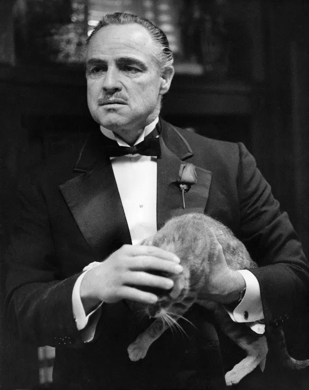 如何洞悉你和他人的心理密码?