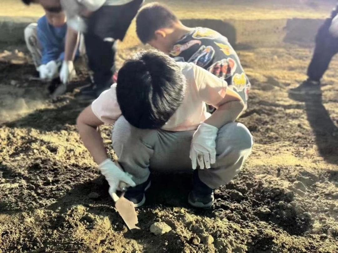 河南国庆博物馆活动_河南博物院国庆特色展览_游戏国庆专题