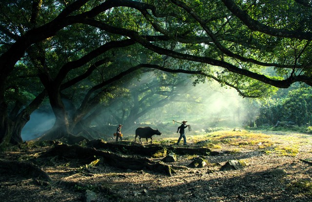 最近的头条新闻一句话_陪伴的力量_今日头条新陪伴方式