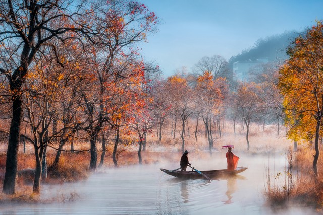 最近的头条新闻一句话_今日头条新陪伴方式_陪伴的力量