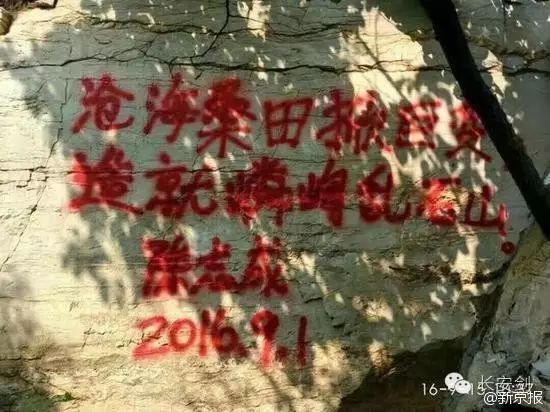 台湾和蔡英文最新新闻_台湾和蔡英文最新新闻_台湾和蔡英文最新新闻