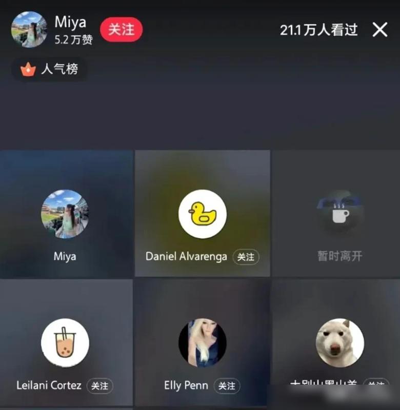 社交文化网络是什么_社交文化网络社群的价值_社交网络文化