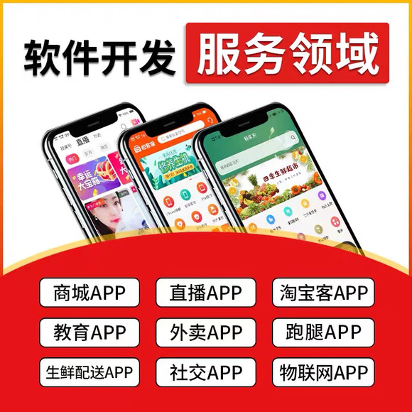领航私域小程序部署源码系统开发