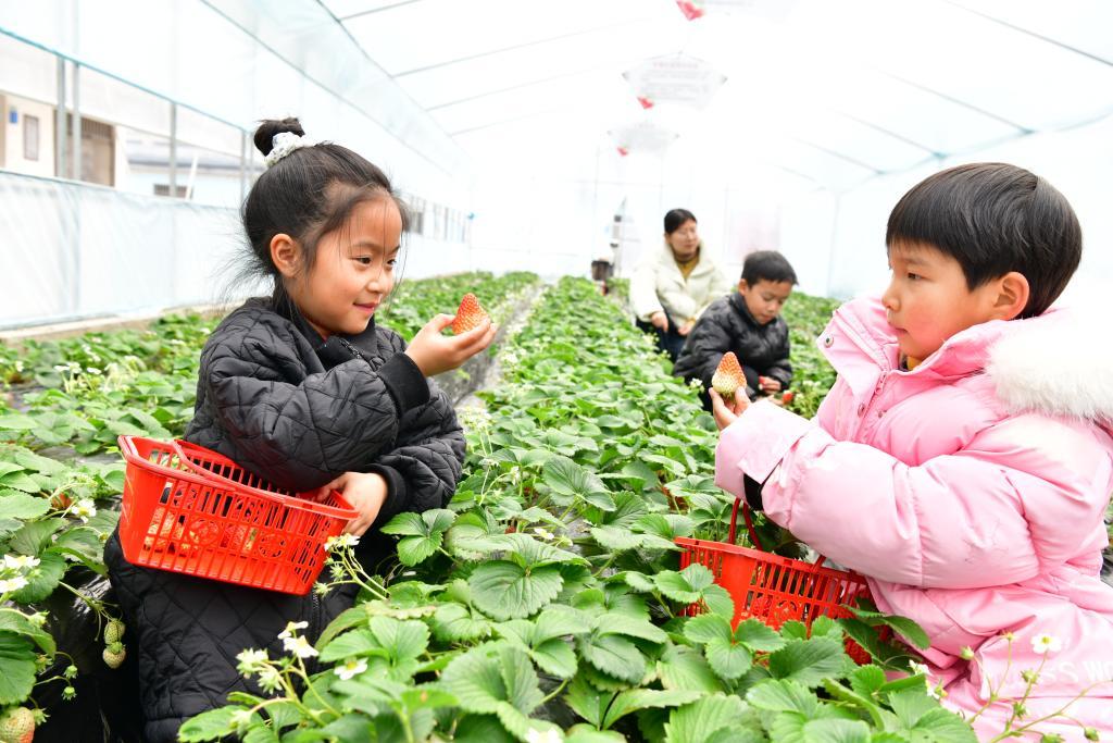 西藏开学季_中小学新学期活动_河南省中小学