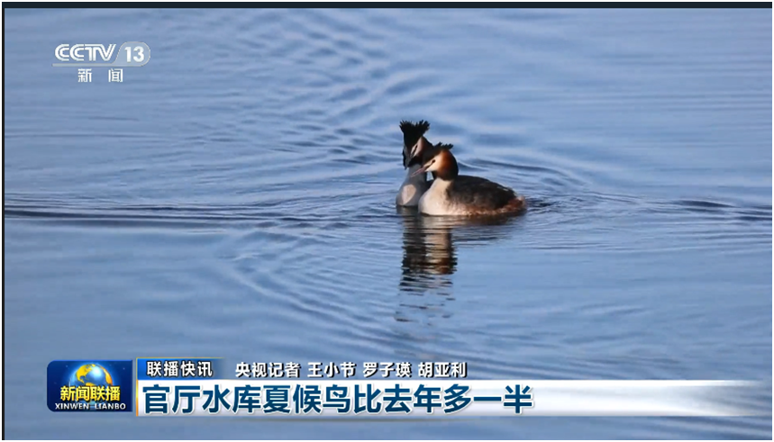 央视新闻联播全高清制播升级_中央广播电视总台联播黄金档改版工程_cctv1晚间新闻回看