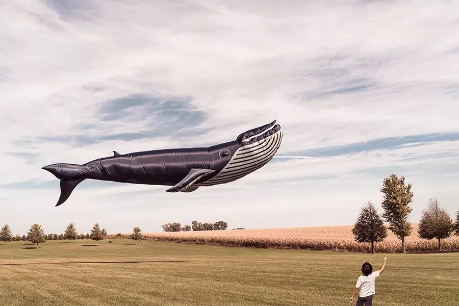 透过微博商业化，看信息流广告如何架起科学和艺术的支点