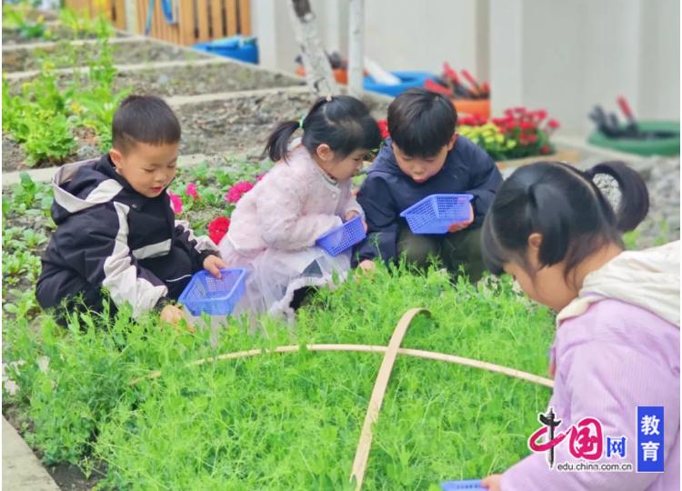 幼儿园游戏专题总结_幼儿自然教育特色幼儿园_成都市武侯区望江幼儿园九区两室一廊