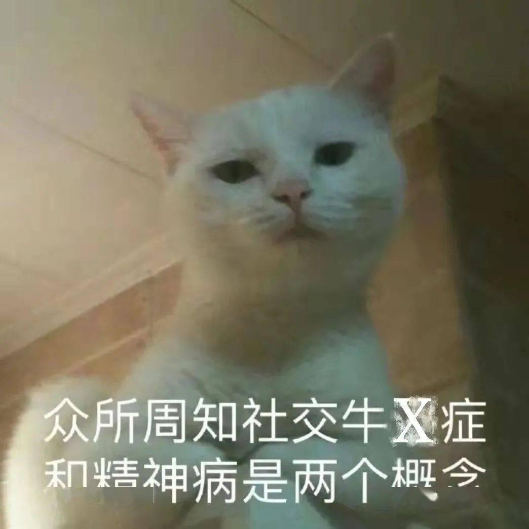 社交牛X症_校园社牛行为_校园 社交达人