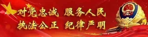 【每日一星】杨加春：从“教科书”式执法标兵到派出所工作能手